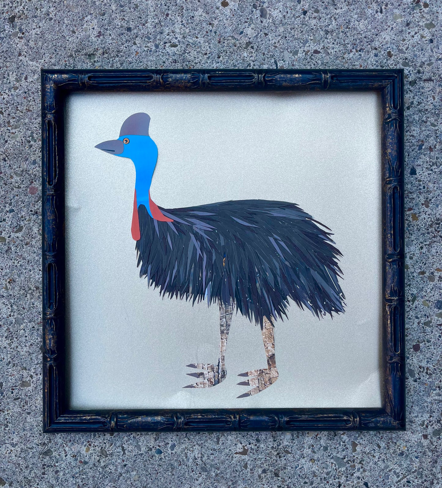 Cassowary