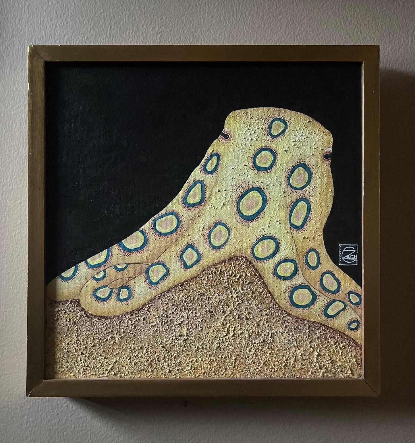 Blue Ringed Octopus