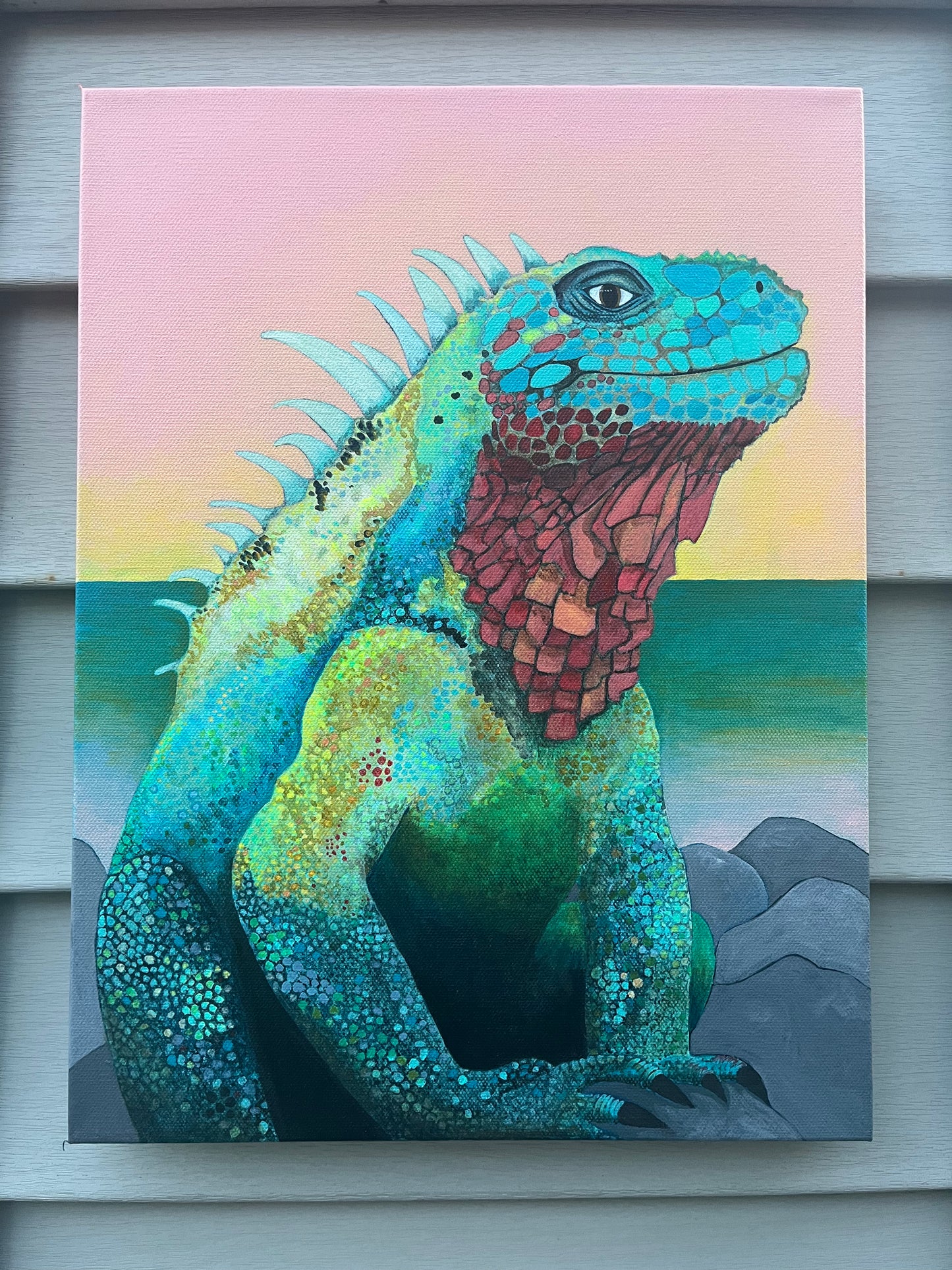 Marine Iguana