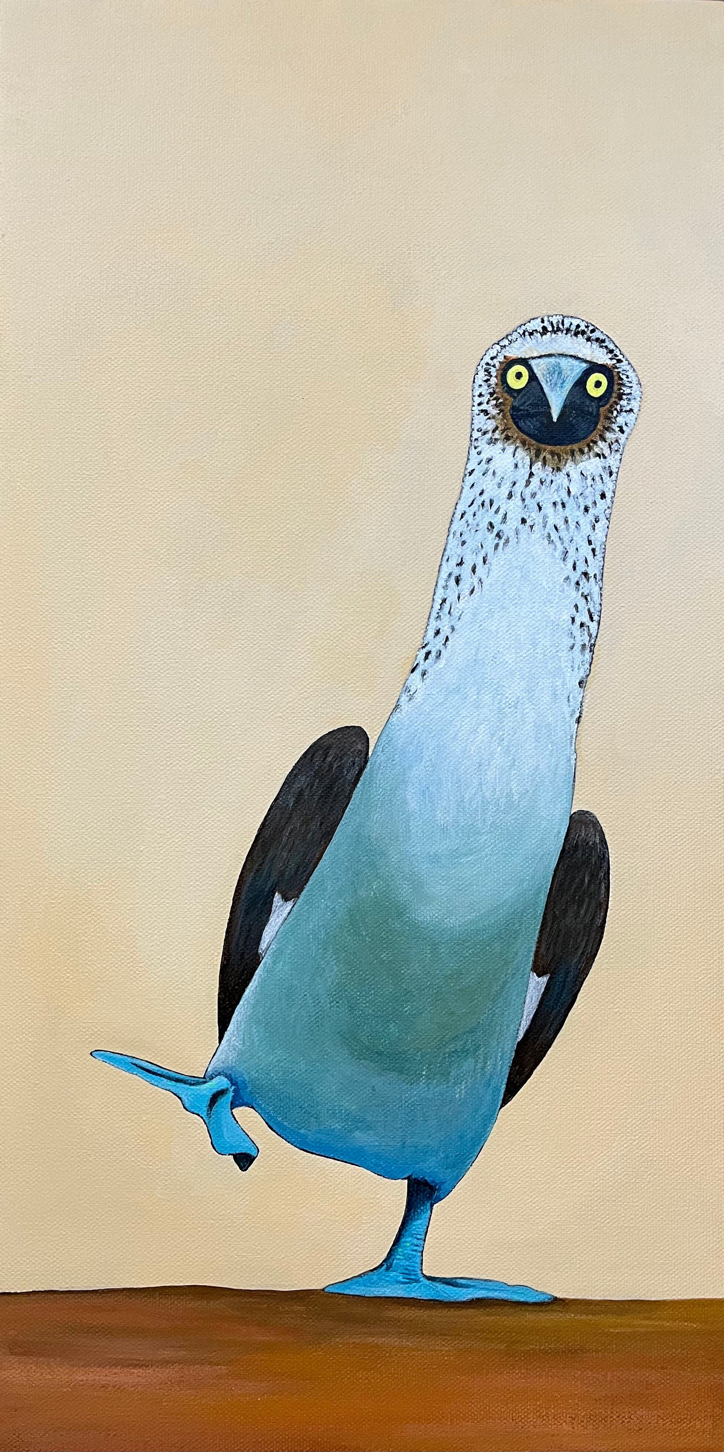 Blue Footed Booby