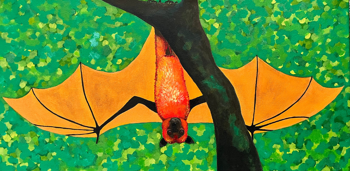 Giant Golden Crowned Flying Fox