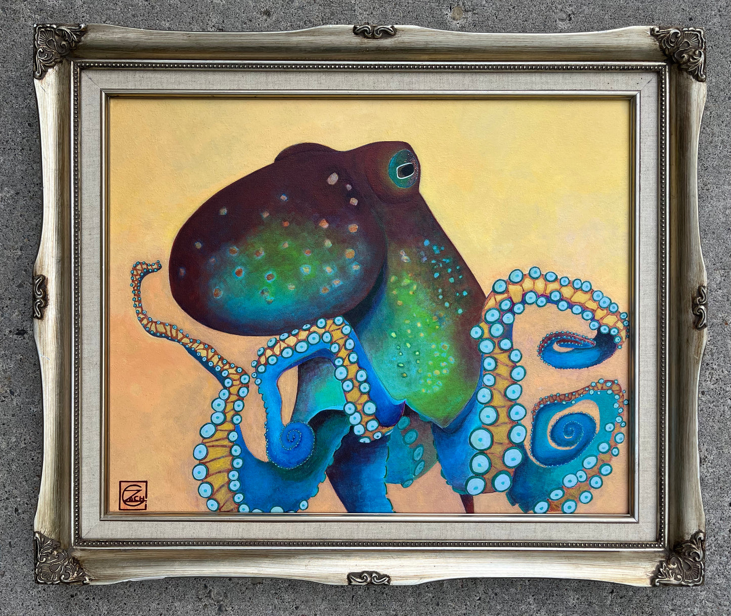 Curious Octopus