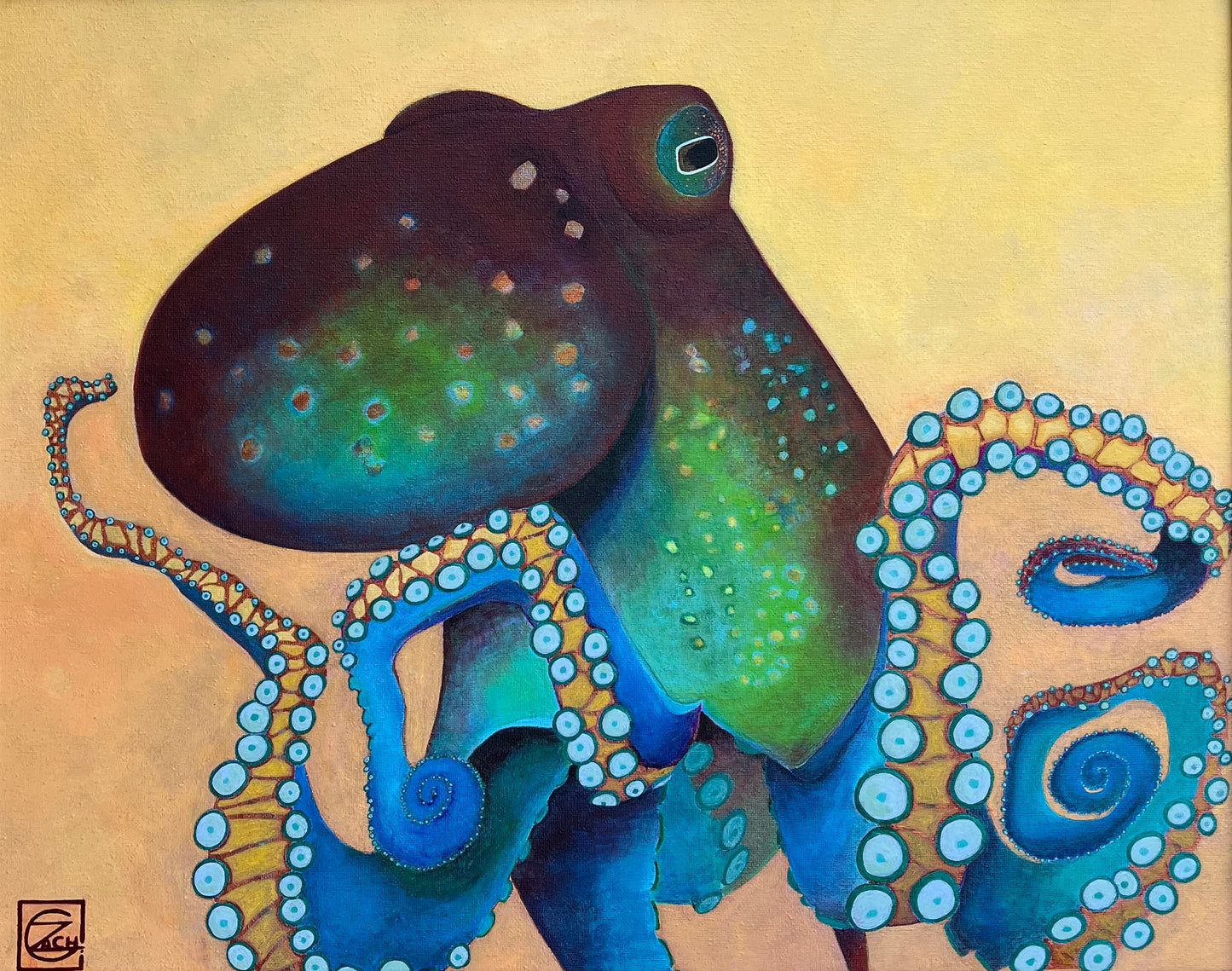 Curious Octopus