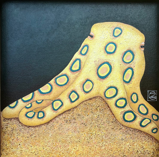 Blue Ringed Octopus