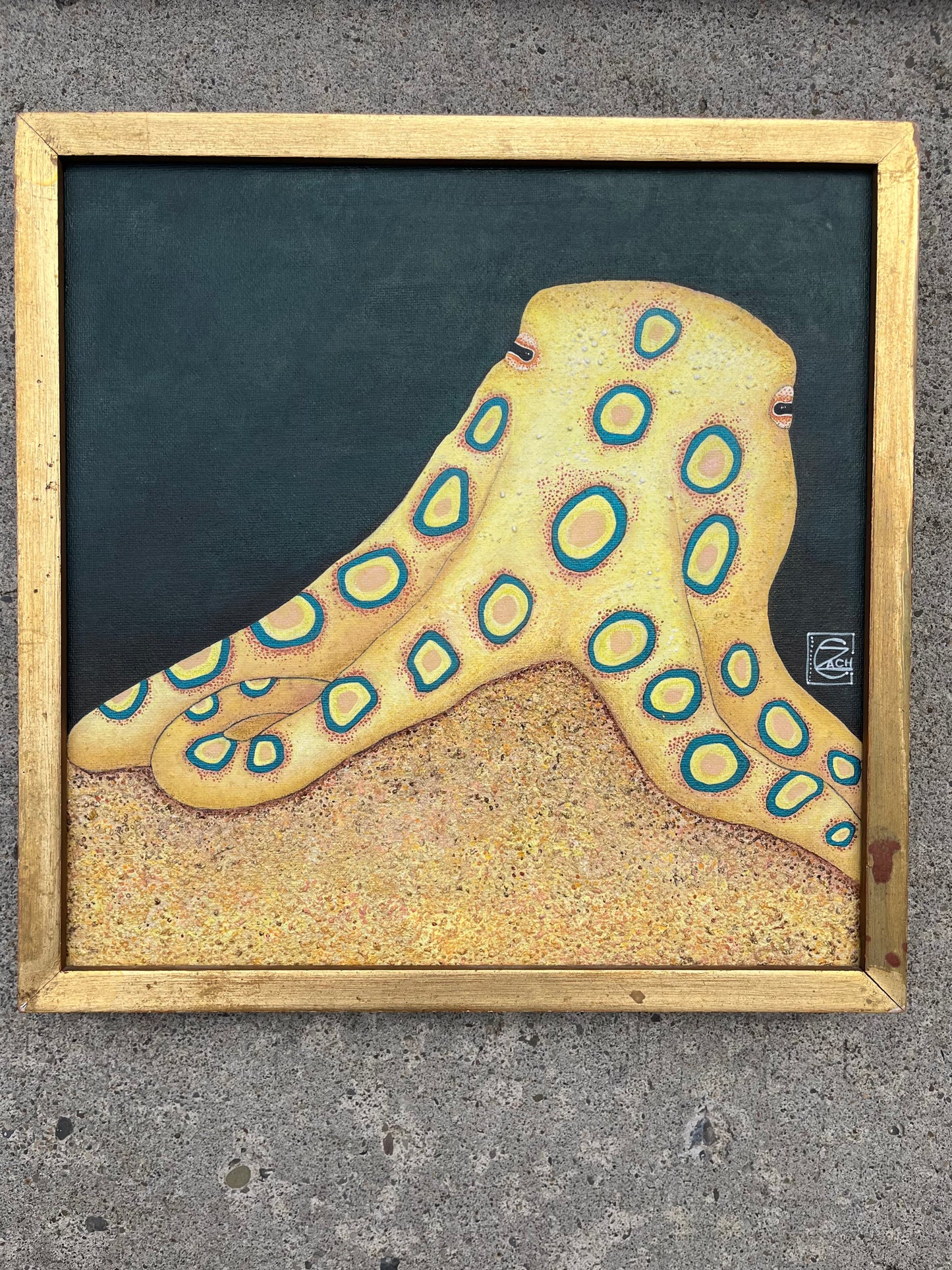 Blue Ringed Octopus