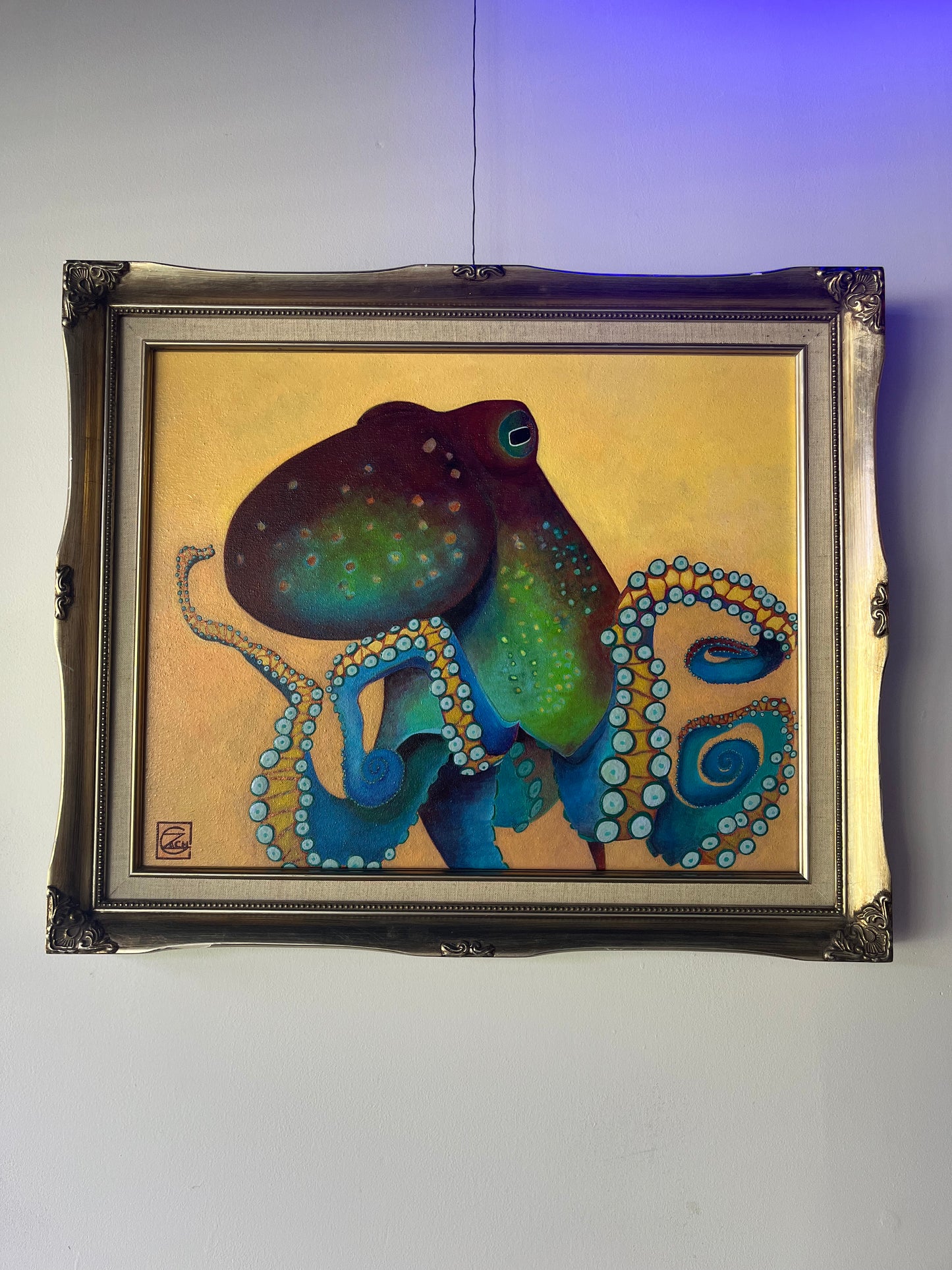 Curious Octopus