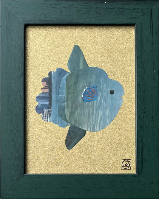 Sunfish