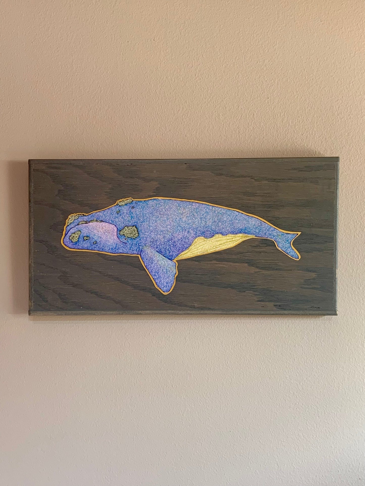 North Atlantic Right Whale