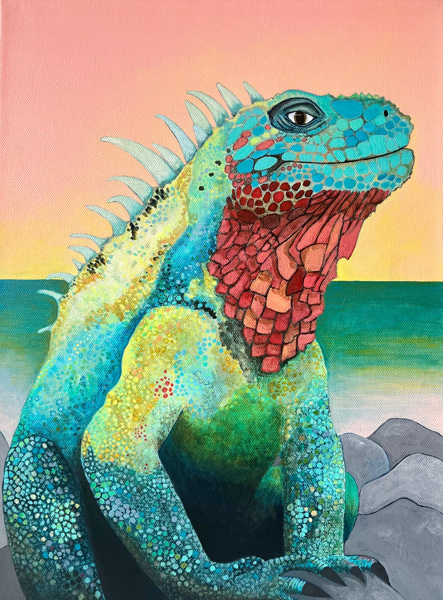 Marine Iguana