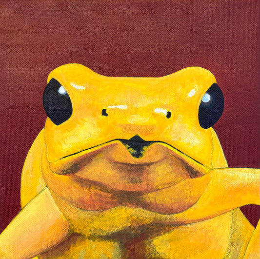 Poison Dart Frog