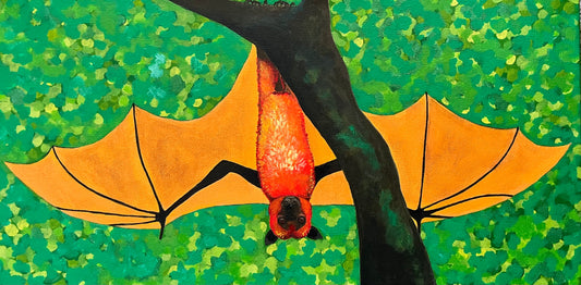 Giant Golden Crowned Flying Fox