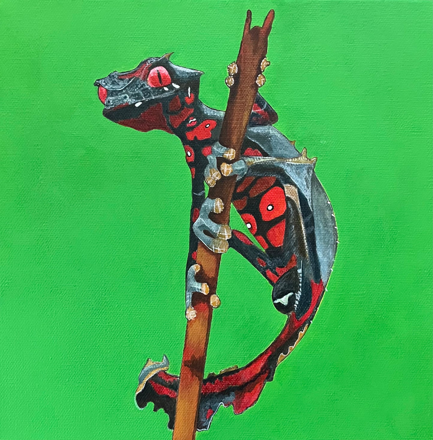 Satanic Leaf Tailed Gecko