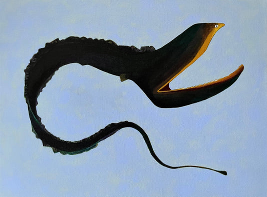 Gulper Eel
