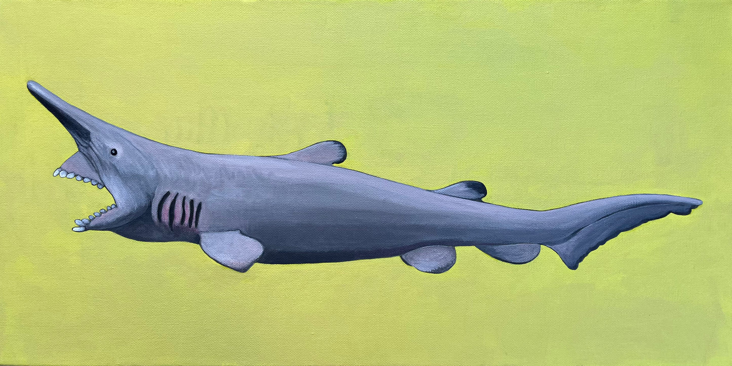 Goblin Shark